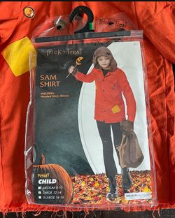 Sam Costume Kids Large 