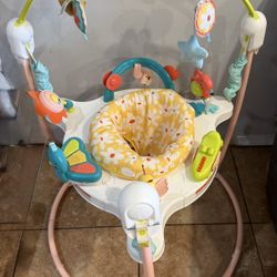 Fisher Price Baby Bouncer