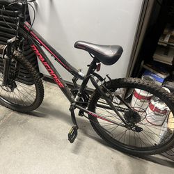 $50 Mountain Bike 