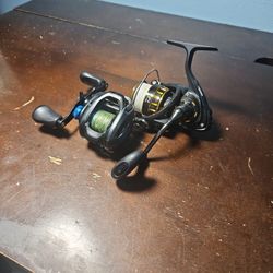 Shinamo Slx And Diawa BG 2500 (Perfect Conditon) (Worth 230$ Selling For 185)