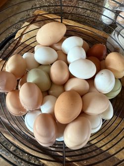 Farm fresh eggs
