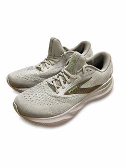 Brooks Adrenaline GTS 24 Men’s Size 10 D Running Shoes Chateau Grey 110437