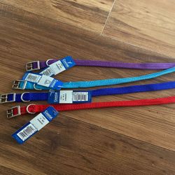 Small Dog Collars