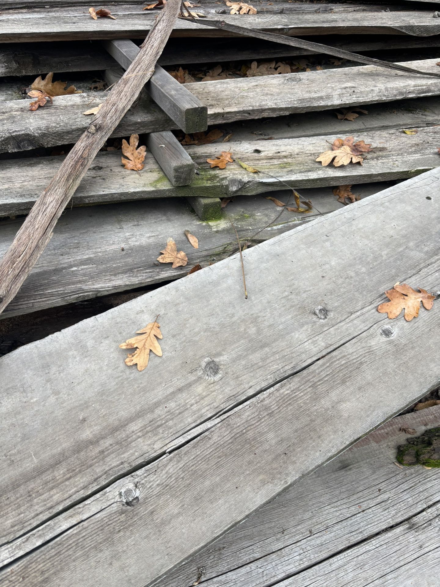 Free Cedar Wood Planks