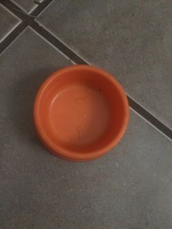 hamster food bowl