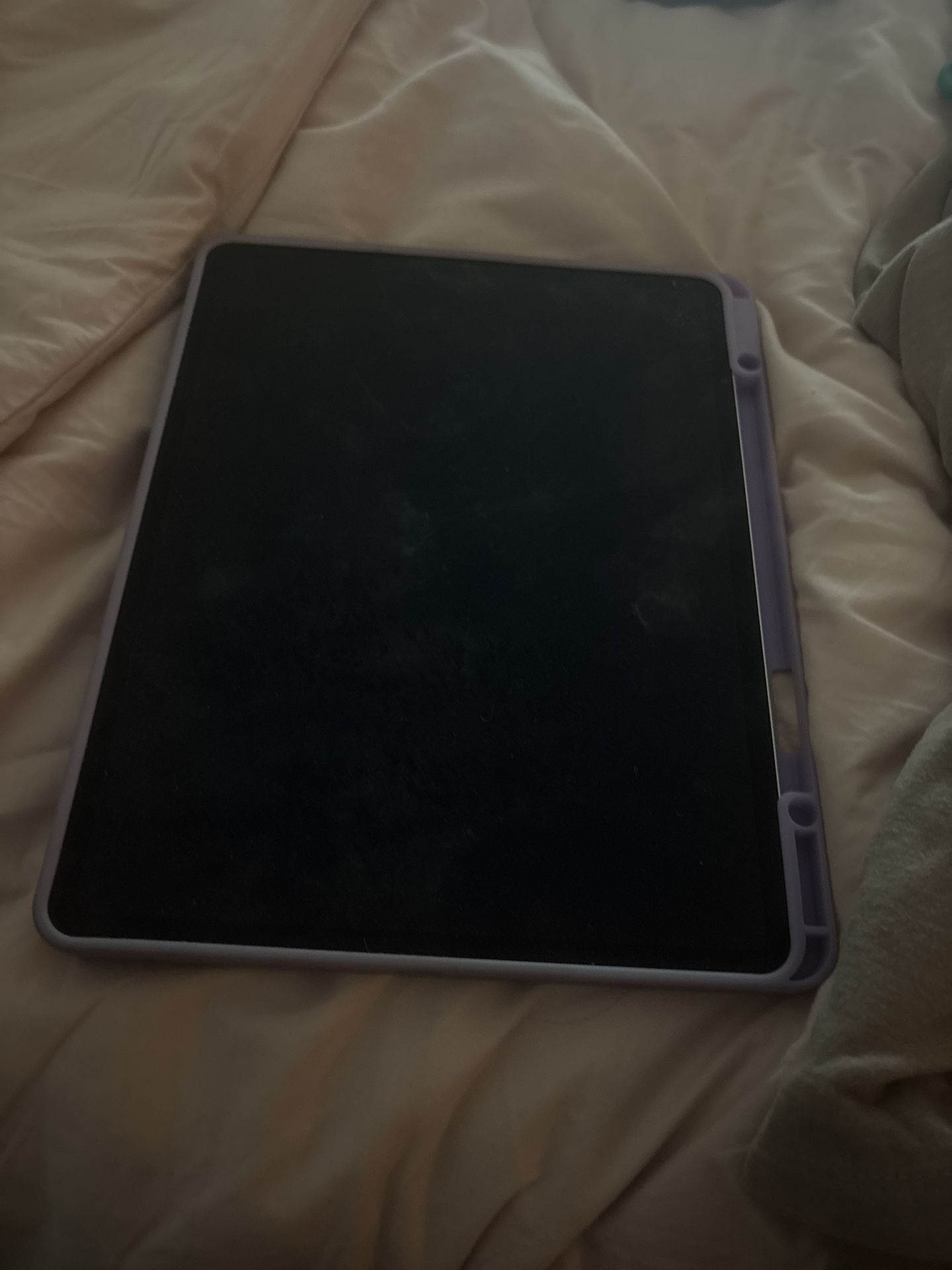 iPad Screen Only 