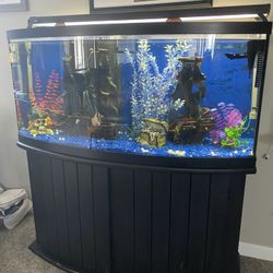 72 Gal Bowfront Tank With 30 Gal Subterfuge Filter Tank