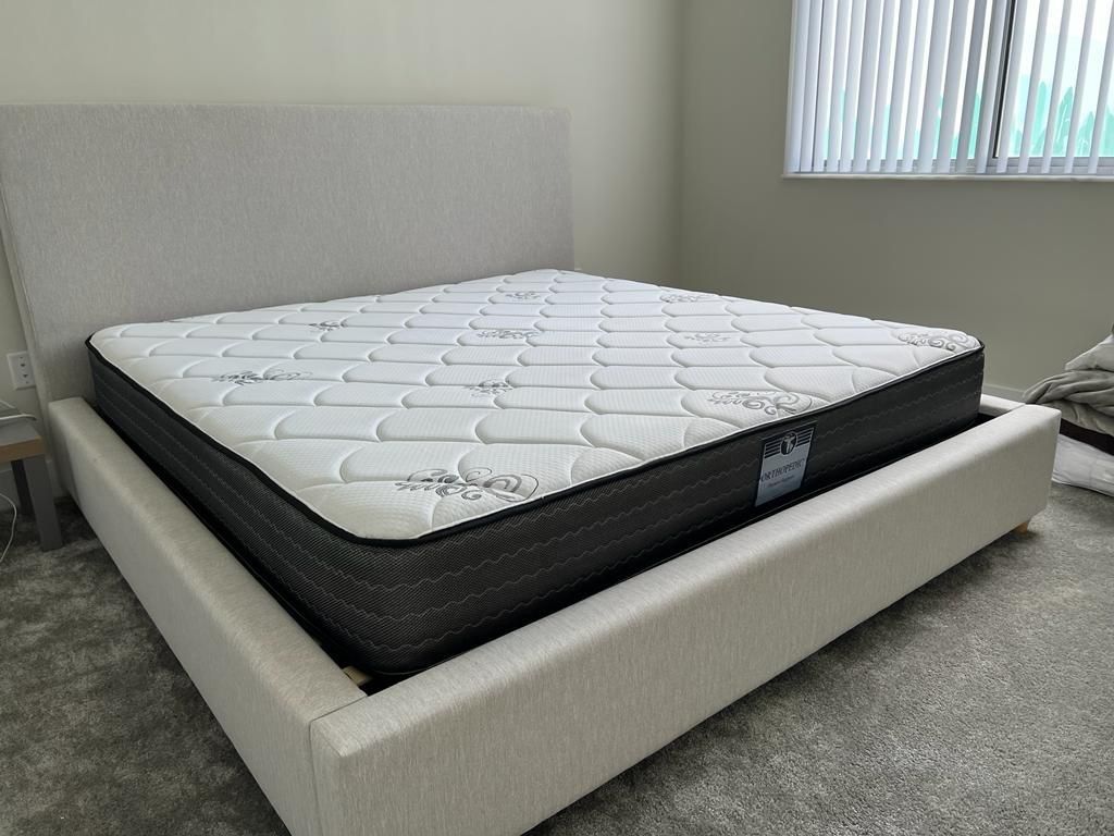 NEW MATTRESS KING SIZE PLUSH AND BOX SPRING 