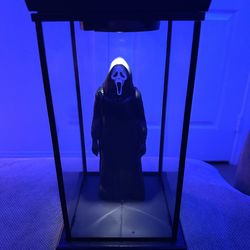 REGAL Scream 7 Display Case