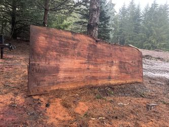 HUGE massive Redwood Live Edge Slab. Free Delivery Tomorrow Only!!55” Wide X 12.5 Ft Long X 3” Thick