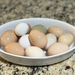 Organic Eggs 