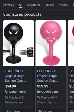 FunPunch punching bag