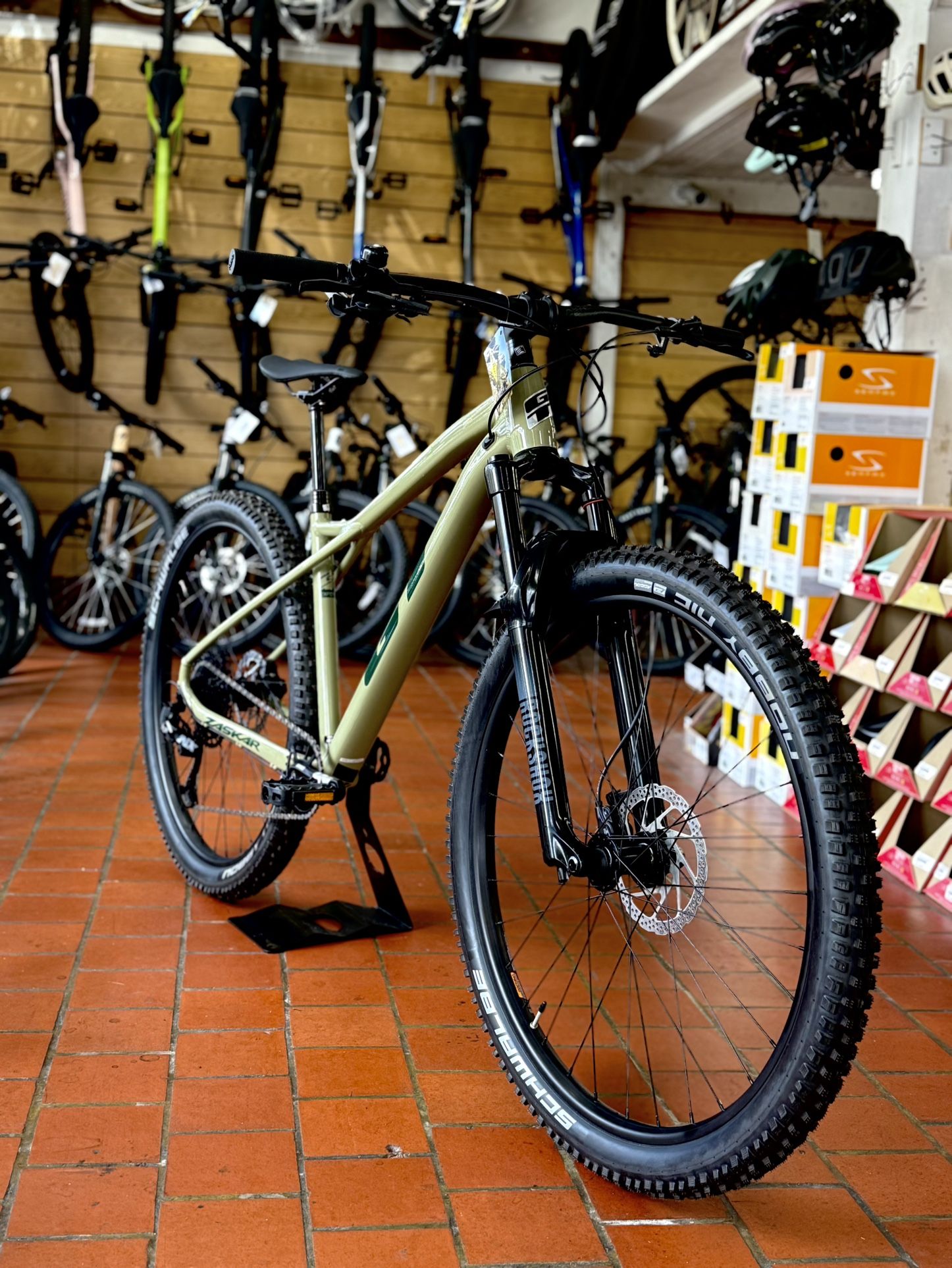 Mountain Bike