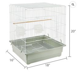 Bird Cage