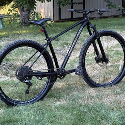 Specialized Rockhopper Mountain Bike 