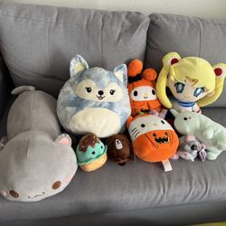 Teddy Bear Bulk Sale