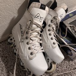 Alkali Roller Blades 