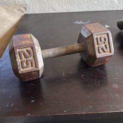 25 Pound Dumbbell