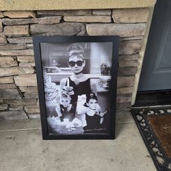 Audrey Hepburn 3D Holographic Portrait
