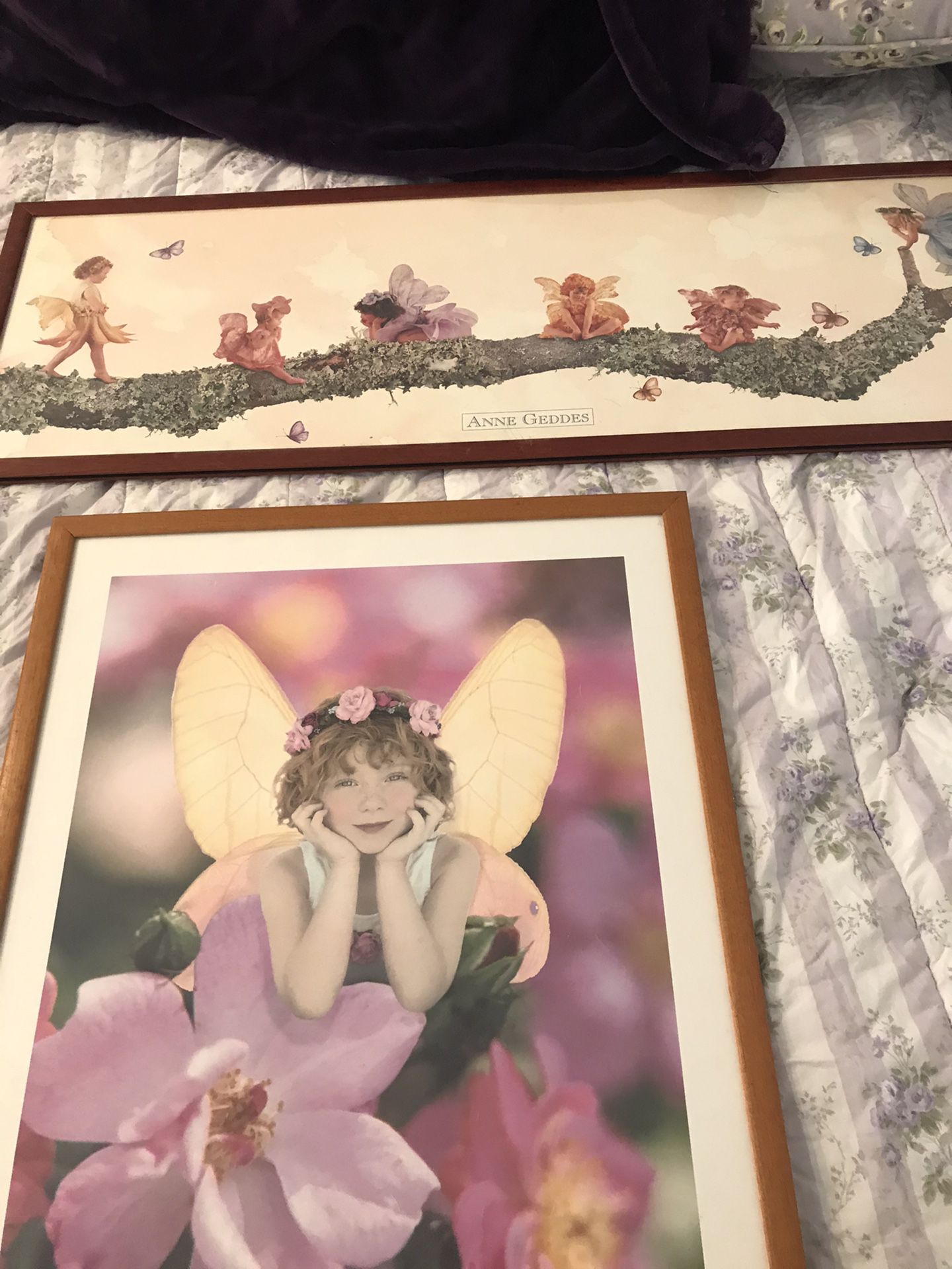 3 Fairy pictures framed art Anne Geddes + Flitterbyes Kathleen Francour