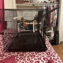 Bird Cage With Toys & Snacks 