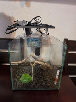 Small Fish tank