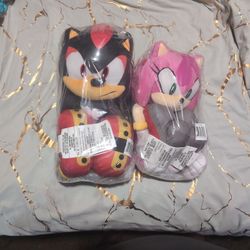 Shadow And Amy Rose