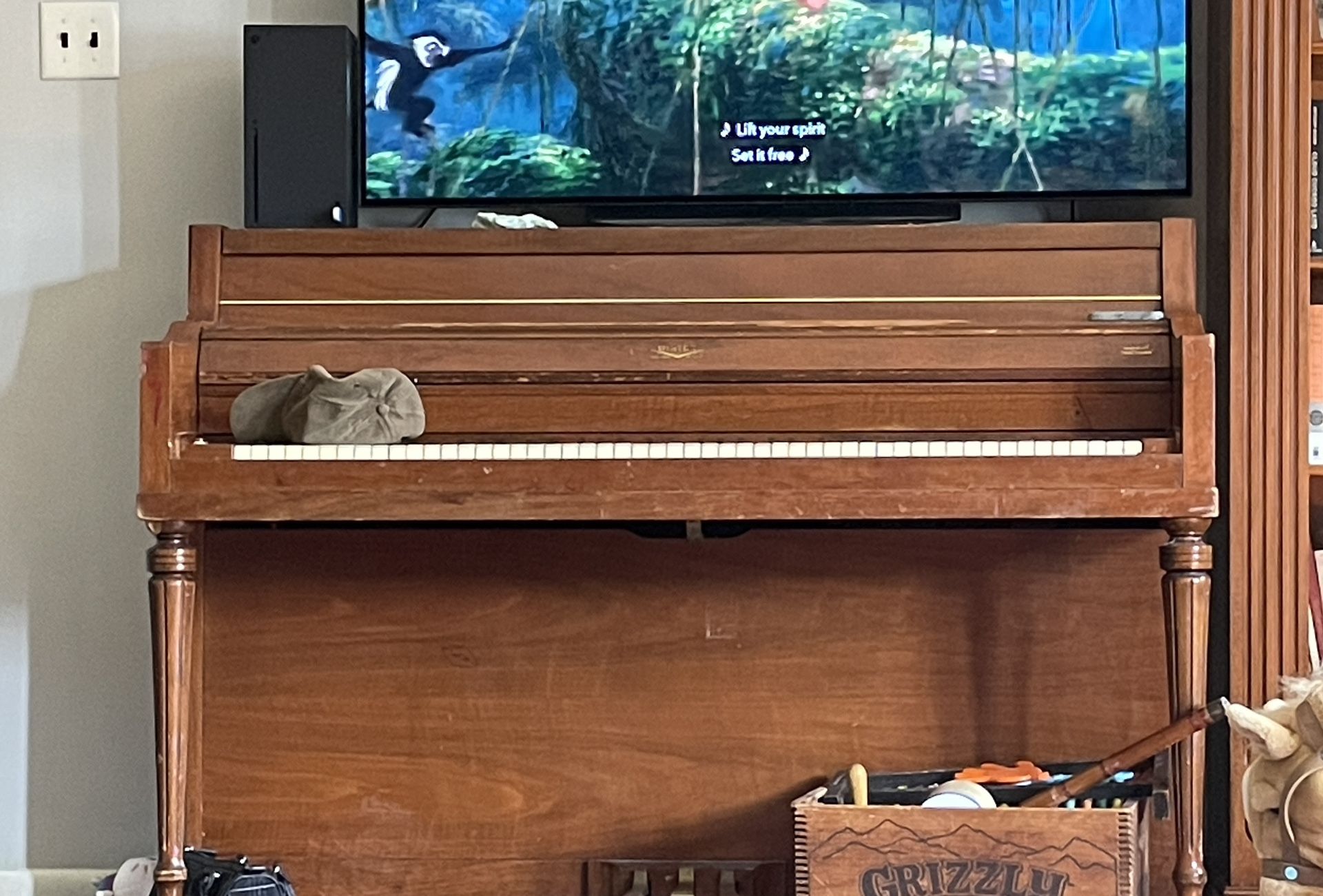 Winter Piano