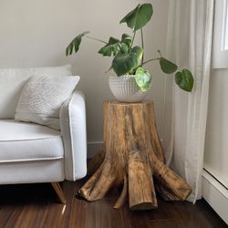 Hand- Made Live Edge End Table