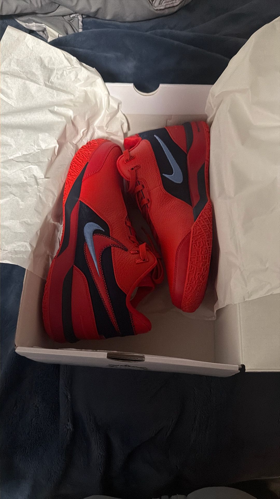 Custom Duquesne LEBRON NXXT GEN