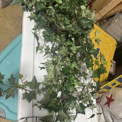 Artificial ivy 