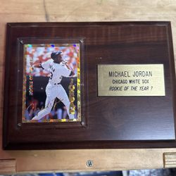 Michael Jordan Baseball Card Plaque 