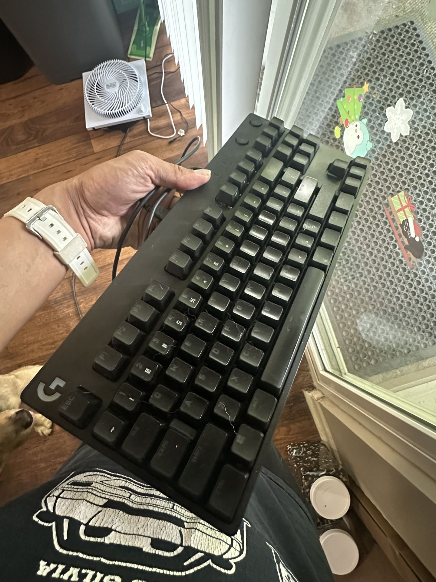 Logitech PRO gaming keyboard.