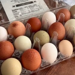 Backyard Fresh Eating Eggs