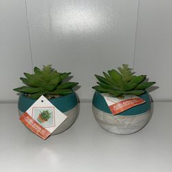 Hand Crafted Artisan Artificial Succulents  in Pots Set Of 2, Plants Indoor Fake Plants Brand New 