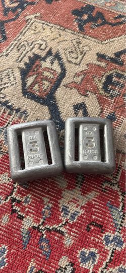 Two 3lb dive weights