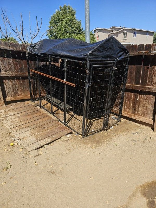 Dog Kennel