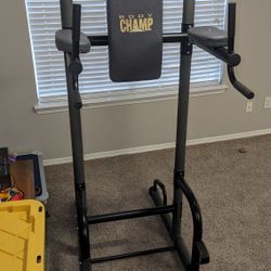 Power Tower Body Champ