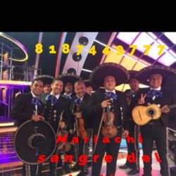 Mariachi 🐶500$$ Festeja una serenata memorable precios  especiales con  voces que te llenarán el Corazón de un valioso recuerdo con tus seres amados 