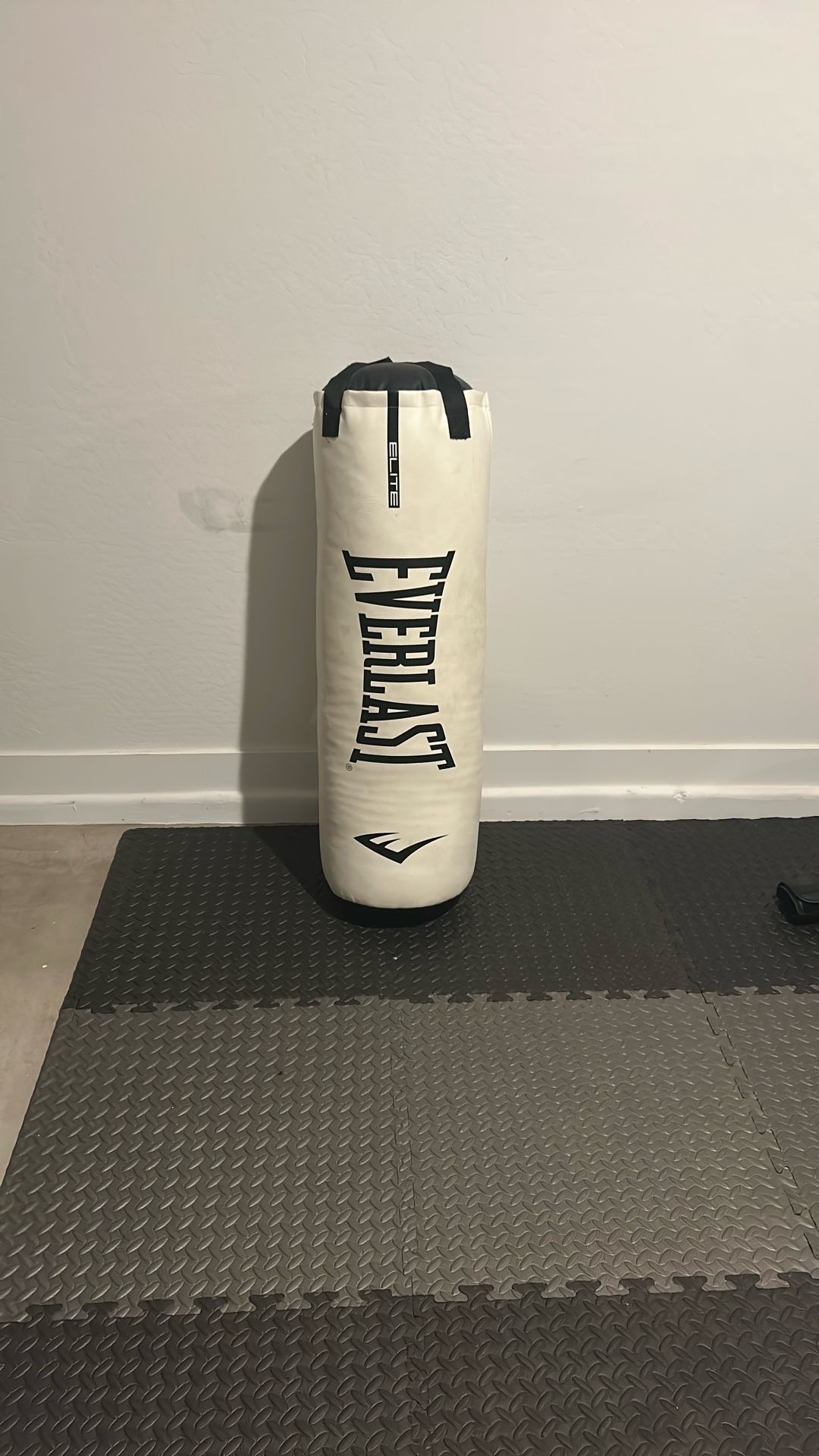 Everlast punching bag