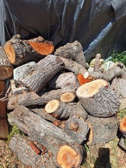 Firewood