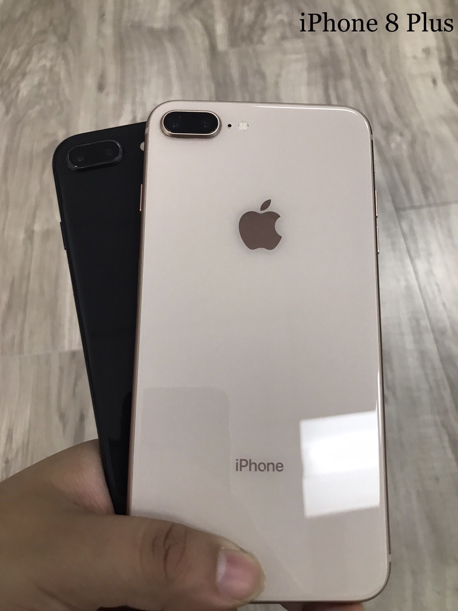 iPhone 8 Plus