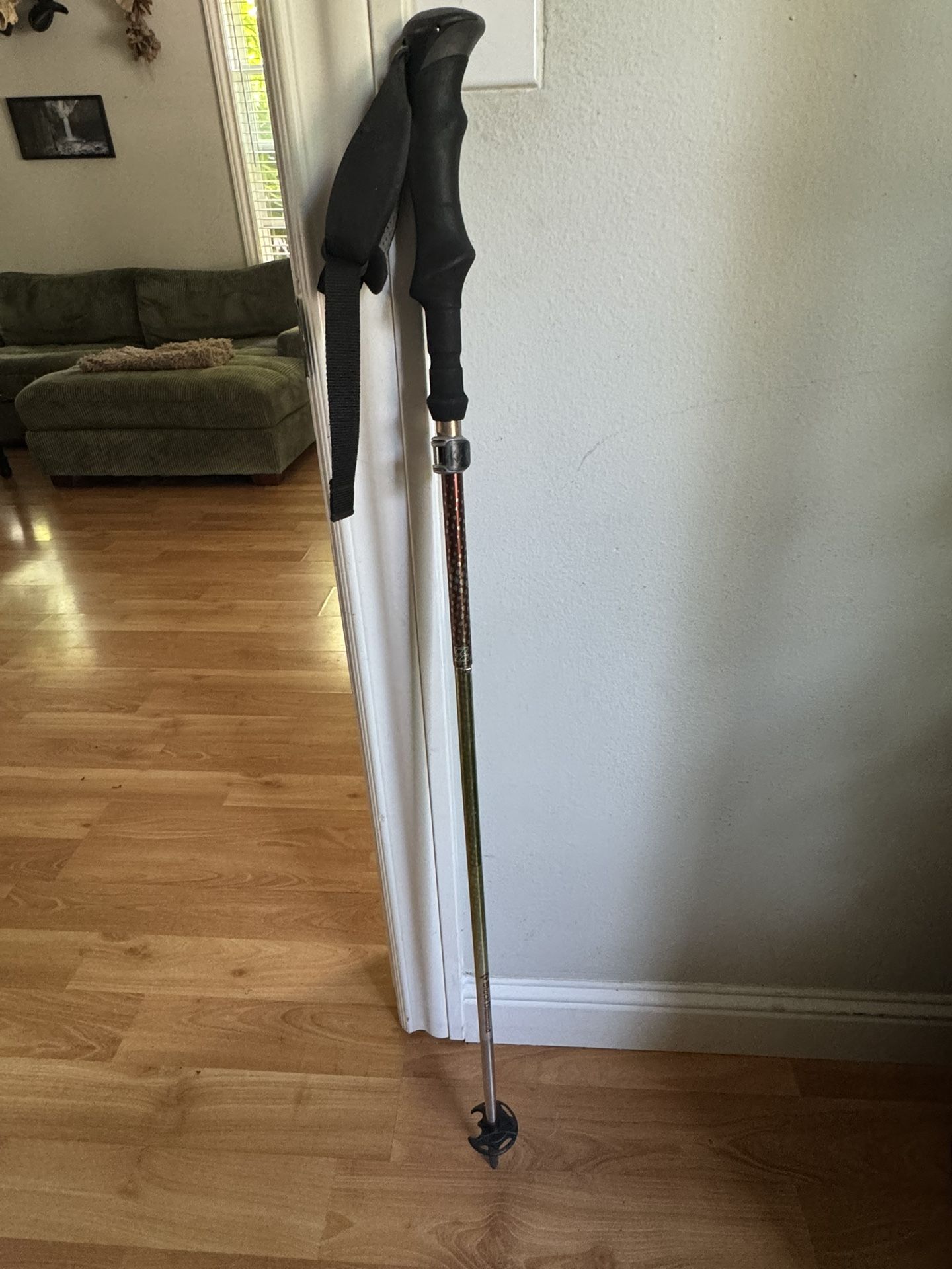 Black Diamond Hiking Pole
