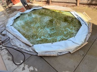 Coleman pool