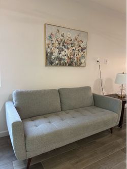 Living Spaces Couch Set (2)