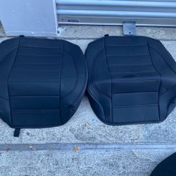 Seat Cover  Bottom 