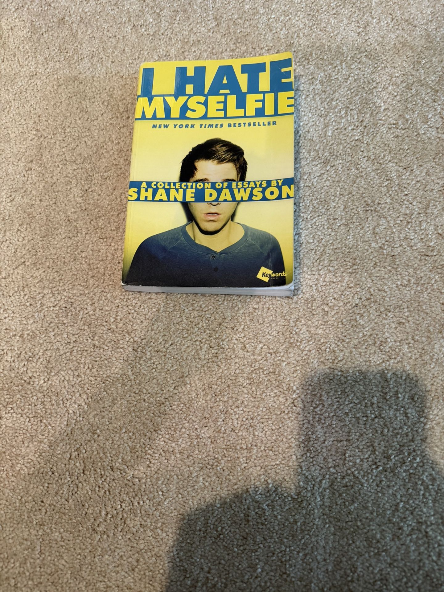 Shane Dawson I Hate Myself Book