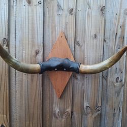 Bull Horns
