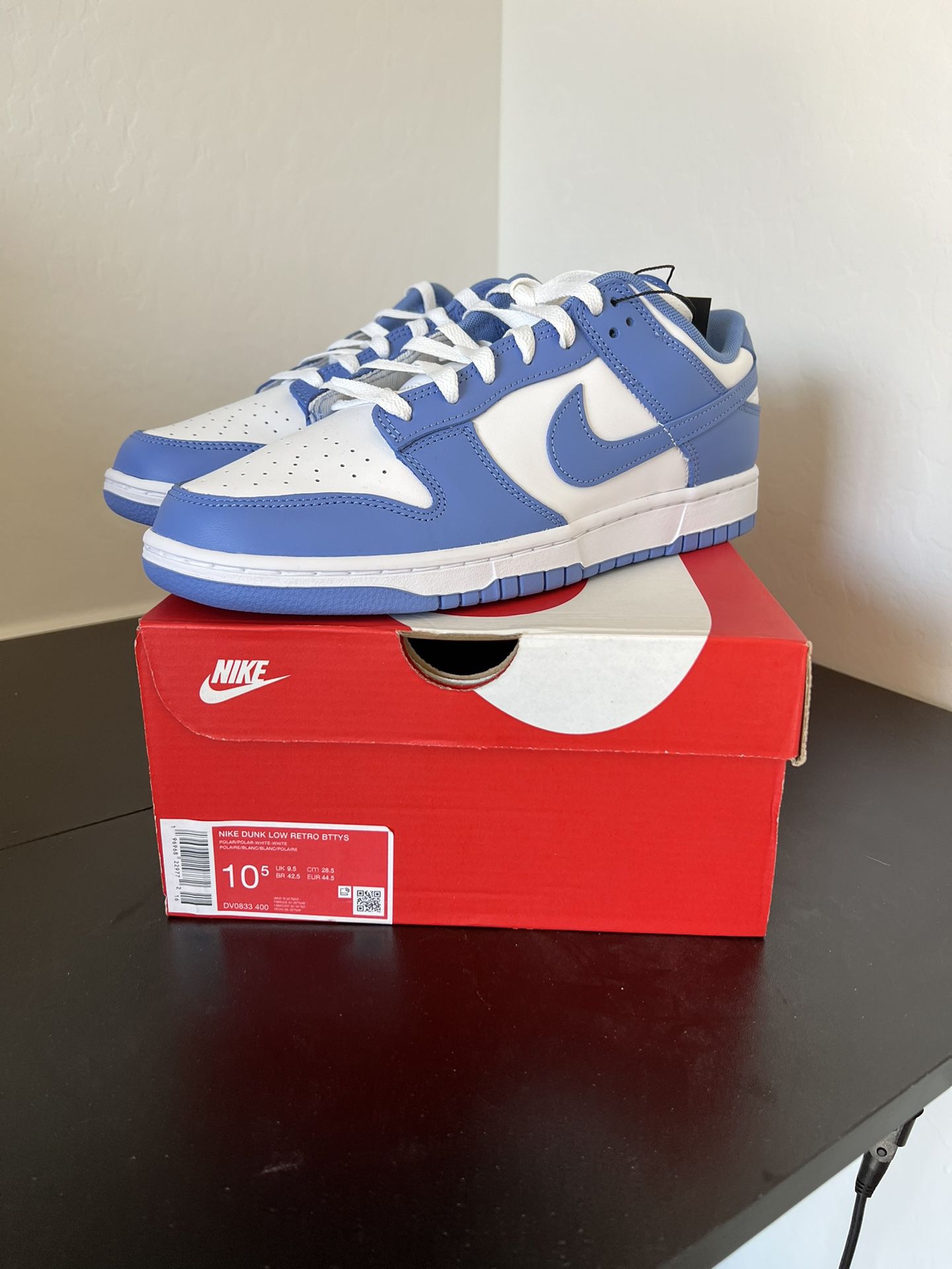 Nike Dunk Low “Polar Blue” Size 10.5M