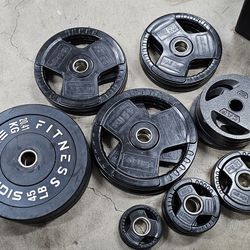 445 lbs weights  weightlifting